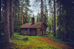Domy z drewna całoroczne